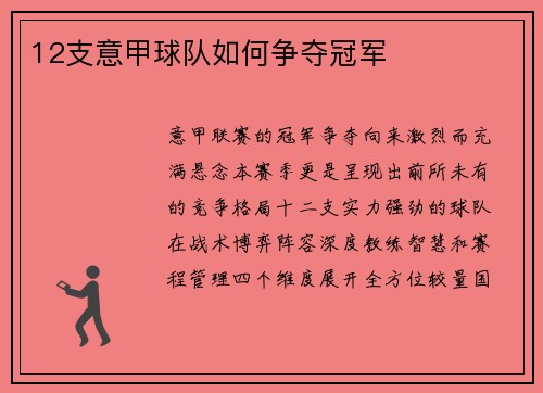 12支意甲球队如何争夺冠军